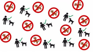 Tasmalı bir köpek, köpeğinizi beyaz ve yeşil arka planda salmayın - animasyon