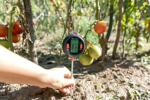 Measuring temperature, moisture content of the soil, environmental humidity and illumination in vegetable garden