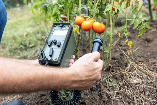 事故後の野菜の自然放射能濃度の測定 — ストック写真