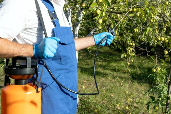 Pflanzenschutzmittel Insektizide Oder Das Herbizid Glyphosat Versprühen Nicht Biologisches Obst — Stockfoto