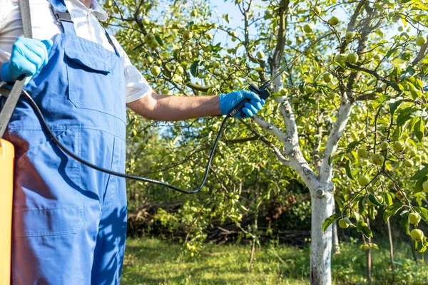 Pestizide Insektizide Oder Das Herbizid Glyphosat Versprühen Nicht Biologisches Obst — Stockfoto