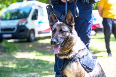 K9 köpeği Alman çoban köpeğiyle görevli bir polis memuru.