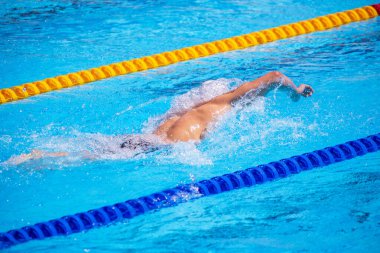 Tanınmayan yüzücü olimpiyat büyüklüğünde bir yüzme havuzunda yüzme yarışında yüzerken ya da öne doğru emeklerken yüzer.