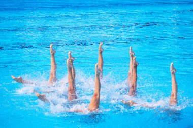 Sanatsal yüzme takımı yüzme havuzunda senkronize bacak hareketi yapıyor.