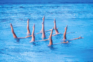 Sanatsal yüzme takımı yüzme havuzunda senkronize bacak hareketi yapıyor.