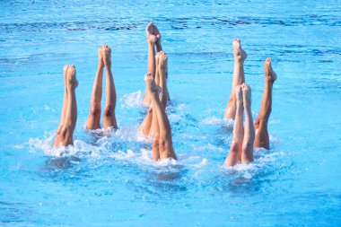 Sanatsal yüzme takımı yüzme havuzunda senkronize bacak hareketi yapıyor.
