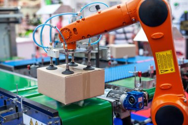 Etkili endüstriyel kutu işleme ve lojistik için otomatik fabrika paketleme sisteminde robot kolu veya robot kolu