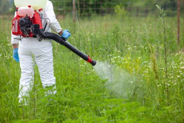 Eldivenler ve beyaz bir takım elbise de dahil olmak üzere tam koruyucu giysili bir kişi, yaz aylarında otların bulunduğu otlak alandaki otlara ot ilacı sürmek için motorlu sırt çantası spreyi kullanıyor.