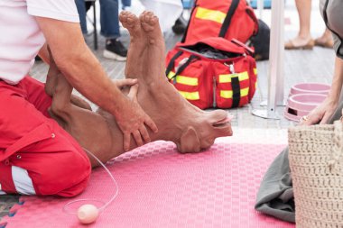 İlk yardım için köpek CPR mankeni kullanarak veteriner eğitim gösterisi ve eğitmenler ve katılımcılarla açık hava etkinliğinde acil hayvan canlandırma.