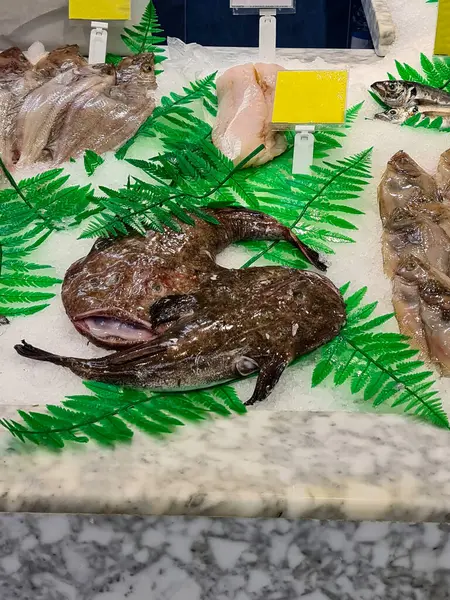 İspanya 'nın Barselona kentindeki bir balık pazarında deniz ürünleri sergileniyor.