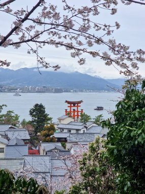Itsukushima Tapınağı 'nın ikonik gövde kapısı Seto İç Denizi' nde duruyor. Çerçevesi kiraz çiçekleri, dağlar ve arka planda bir kıyı şehri ile çevrili..