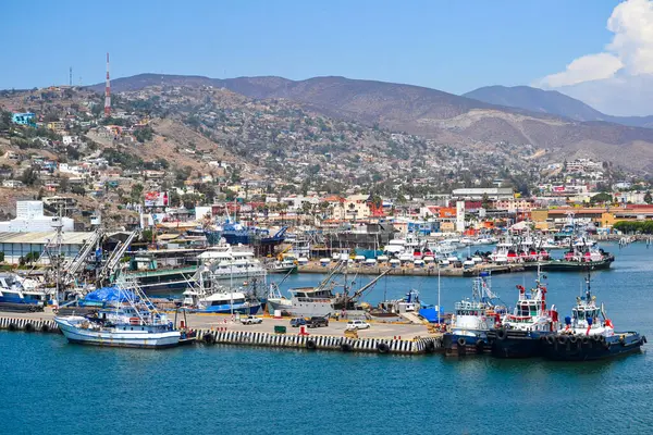 Ensenada, Meksika 'daki rıhtım boyunca sayısız balıkçı teknesi ve römorkör iskelesi var. Arkasında konut binaları ve sanayi yapıları olan tepe manzarası.