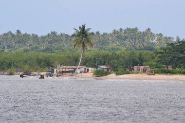 Gana 'daki sakin bir sahil sahnesinde kırsal binalar, öne çıkan bir palmiye ağacı ve arka planda yemyeşil bir yerleşim yeri yer alıyor..