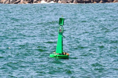 Güneş paneliyle donatılmış parlak yeşil bir şamandıra ve dalgalı sularda yüzen ışık arka planda kayalık bir kıyı şeridi ile kıyı şeridini gösteriyor..