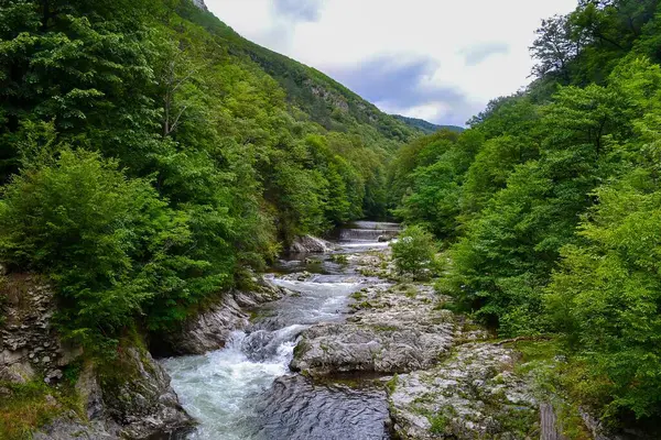 Berrak, akan suyu olan bir nehir dağlık bir bölgedeki sık bir ormanın içinden akar. Sahnede küçük akıntılar, canlı yeşillikler ve parçalı bulutlu bir gökyüzü yer alıyor..