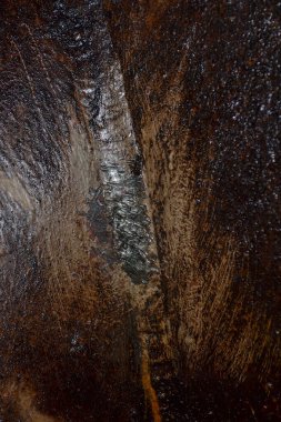 Dikey bir yarığın olduğu koyu dokulu bir yüzeyin detaylı bir görüntüsü. Işık ıslak ya da parlak bölgelerden yansıyarak karmaşık desenleri vurgular.