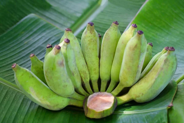 Syrový Banán Banánové Ovoce Pozadí Banánového Listu Zelené Banánové Ovoce — Stock fotografie