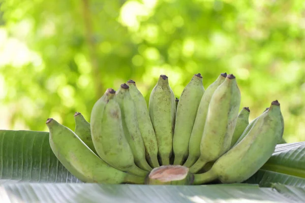 Syrový Banán Banánové Ovoce Banánovém Listu Zelené Banánové Ovoce Příroda — Stock fotografie