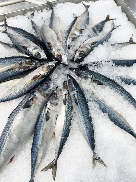 Mackerel fish on ice, Fresh raw mackerel fish for sale in the market seafood restaurant