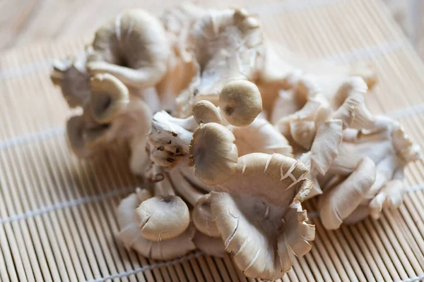 Grey oyster mushroom on wooden background, fresh raw oyster mushroom for cooking food