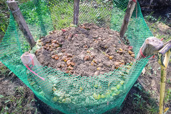 Bio composting - Fresh bio-waste and compost in the garden with food waste and fruit mixed with soil for use as fertilizer in growing crops