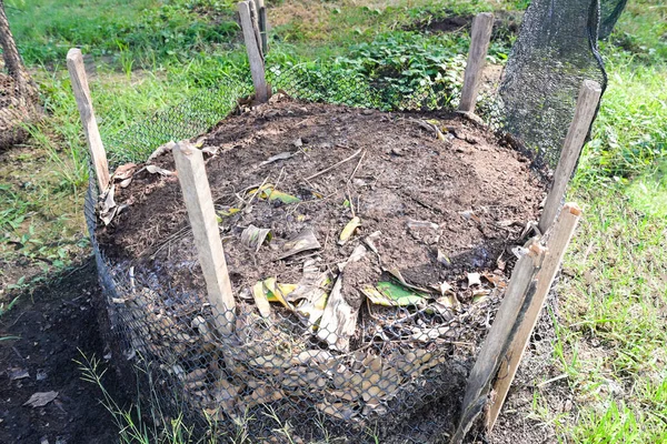 Bio composting - Fresh bio-waste and compost in the garden with food waste and banana leaf mixed with soil for use as fertilizer in growing crops
