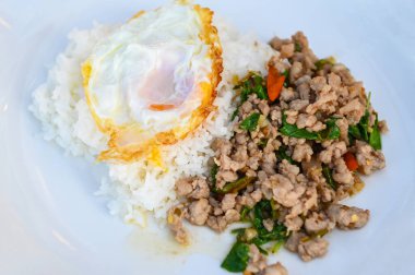 holy basil minced pork, Stir fried Thai basil with minced pork and a fried egg on white plate - top view 
