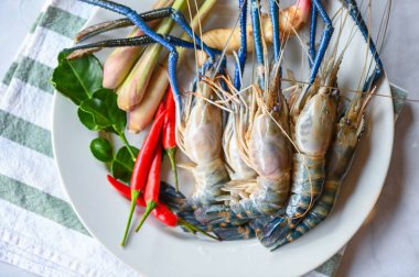 Çiğ karides, beyaz tabakta karides, taze karides, otlu ve baharatlı deniz ürünleri.