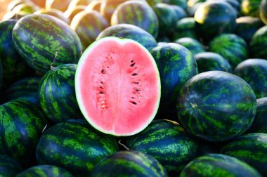 Karpuz tarlasında karpuz dilimi - tarım bahçesi karpuz çiftliğinde taze karpuz meyvesi yaprak ağacı bitkisi, pazarda satılık karpuz hasadı