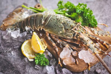 Buzlu dikenli ıstakoz, taze ıstakoz ya da baharatlı ve otlu ıstakoz limonlu kişniş maydanozu, yemek pişirmek için çiğ dikenli ıstakoz ya da deniz ürünleri pazarı. 