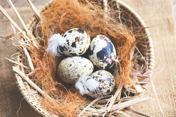 Kwarteleitjes Vogelnest Verse Kwarteleitjes Mandachtergrond Rauwe Eieren — Stockfoto