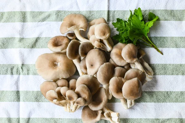 Fresh Grey Oyster Mushroom Table Background Fresh Raw Oyster Mushroom — Stock Photo, Image