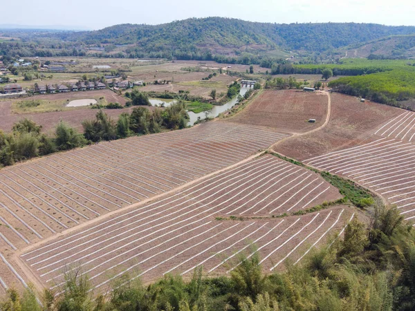 Hochwinkel Ansicht Der Landwirtschaft Luftaufnahme Reihen Von Getreidefeldern Draufsicht Reihen — Stockfoto