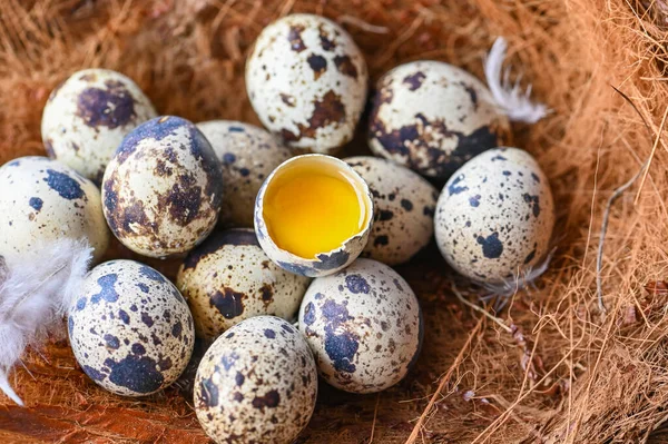 Kwarteleitjes Vogelnest Verse Kwarteleitjes Veren Houten Ondergrond Rauwe Eieren Met — Stockfoto