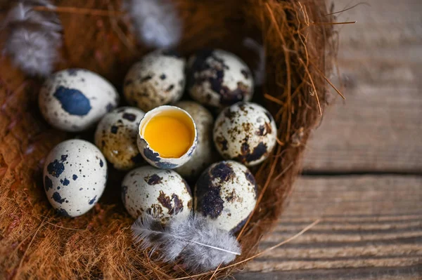 Kwarteleitjes Vogelnest Verse Kwarteleitjes Veren Houten Ondergrond Rauwe Eieren Met — Stockfoto