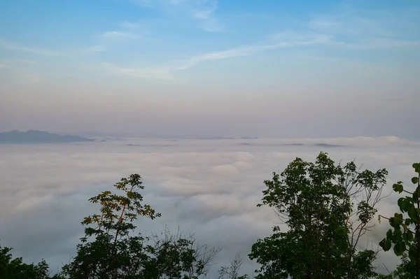 Sabahları Manzara Ormanı Güzel Gün Doğumu Sisi Dağ Arkasını Kaplar — Stok fotoğraf