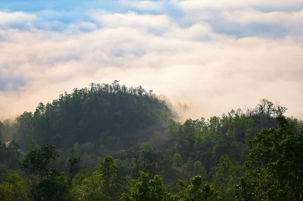 Sabahları Manzara Ormanı Güzel Gün Doğumu Sisi Dağ Arkasını Kaplar — Stok fotoğraf
