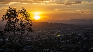 Townsville, Avustralya 'da altın saat boyunca sakız ağaçlarının silueti..