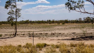 Uçsuz bucaksız ve geniş kurak bir manzara, açık mavi gökyüzünün altında seyrek bir bitki örtüsü ve uzak ağaçlar sergiliyor.
