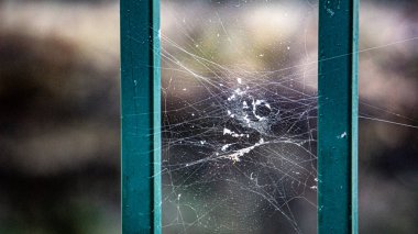 Işıl ışıl parlayan bir örümcek ağının, yeşil bir çerçeve yapısıyla çevrili, ışıl ışıl bir çiğ tanesiyle detaylı bir görüntüsü.