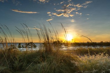 Nefes kesen bir günbatımı, canlı renklerini, sakin bir su kütlesinin üzerine bırakır. Önplanda uzun çimenler yavaşça sallanır.