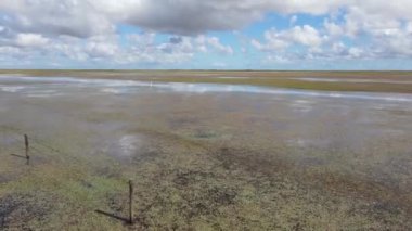 Geniş bataklık manzarası yukarıdaki gökyüzünü güzel bir şekilde yansıtıyor, sakin suların üzerinde dağınık bulutlar yüzüyor.