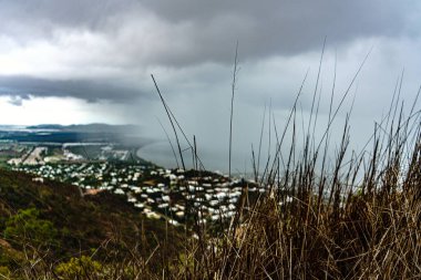 Closeup of Long Grass with Storm in Background of a City. High quality photo. Townsville, Australia.  clipart