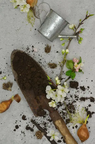 Üst görünüm karmaşa: toprak kürek, ampul, çiçekler, dal, toprak ve sulama kutusu. Bahçıvanlık.