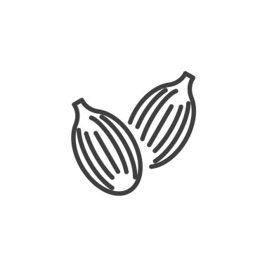 Kakule kapsülleri çizgi simgesi. Mobil konsept ve web tasarımı için doğrusal biçim işareti. Kakule tohumu taslak vektör simgesi. Sembol, logo çizimi. Vektör grafikleri