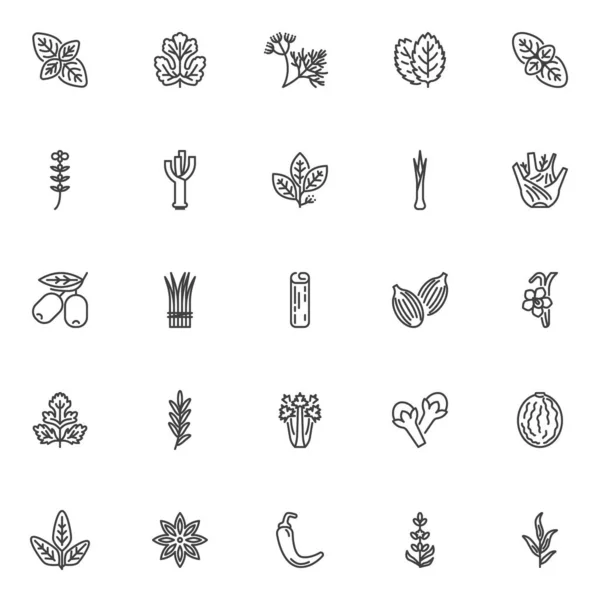 Іконки Листками Гербі Встановлені Колекція Символів Лінійного Стилю Контурні Знаки — стоковий вектор