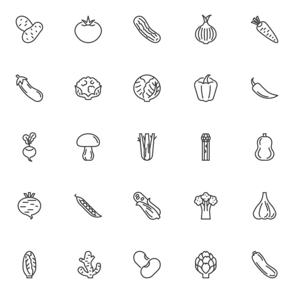 新鲜蔬菜线图标设置 线性风格符号集合 轮廓符号包 蔬菜矢量图形 集合包括土豆 西红柿 花椰菜 花椰菜 南瓜等图标 — 图库矢量图片