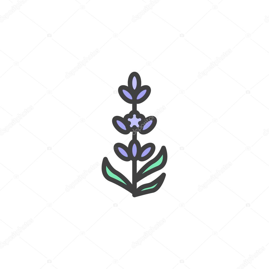 Lavender flower filled outline icon, line vector sign, linear colorful pictogram isolated on white. Symbol, logo illustration. Vector graphics