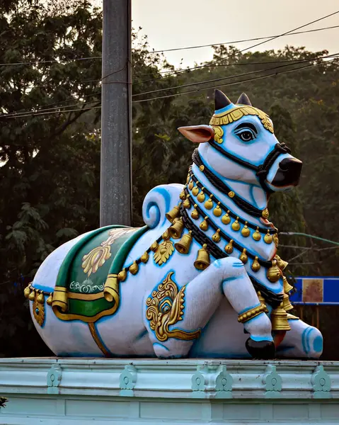 Tirupati, Andhra Pradesh, Hindistan 'daki Kapleshwar tapınağının önündeki dev Nandi putu..