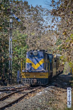Sasan Gir, Gujrat, Hindistan-17 Şubat 2025: Hint Demiryolları metro treni, Sasan Gir, Gujrat yakınlarındaki sık orman bölgesine giriyor.